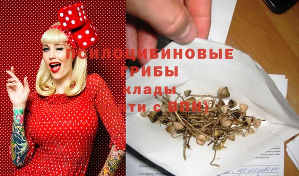 трава Бежецк